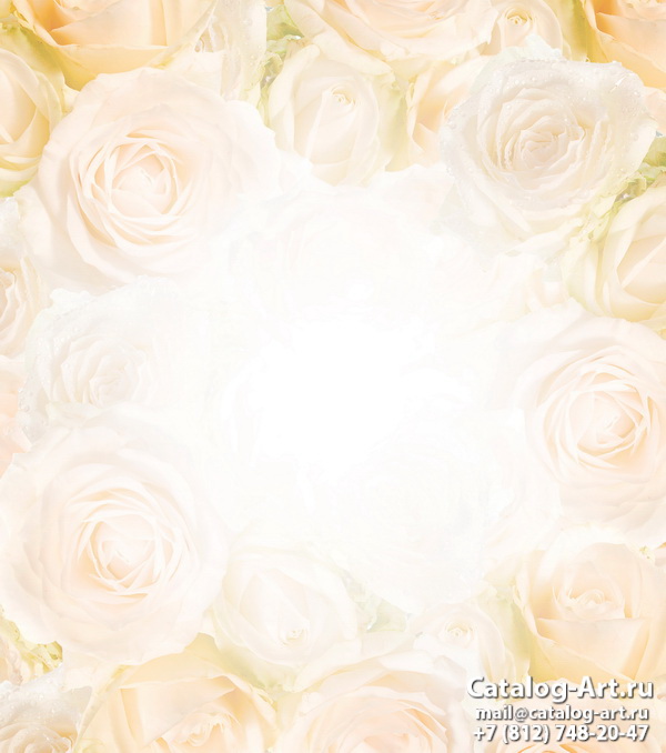 White roses 21